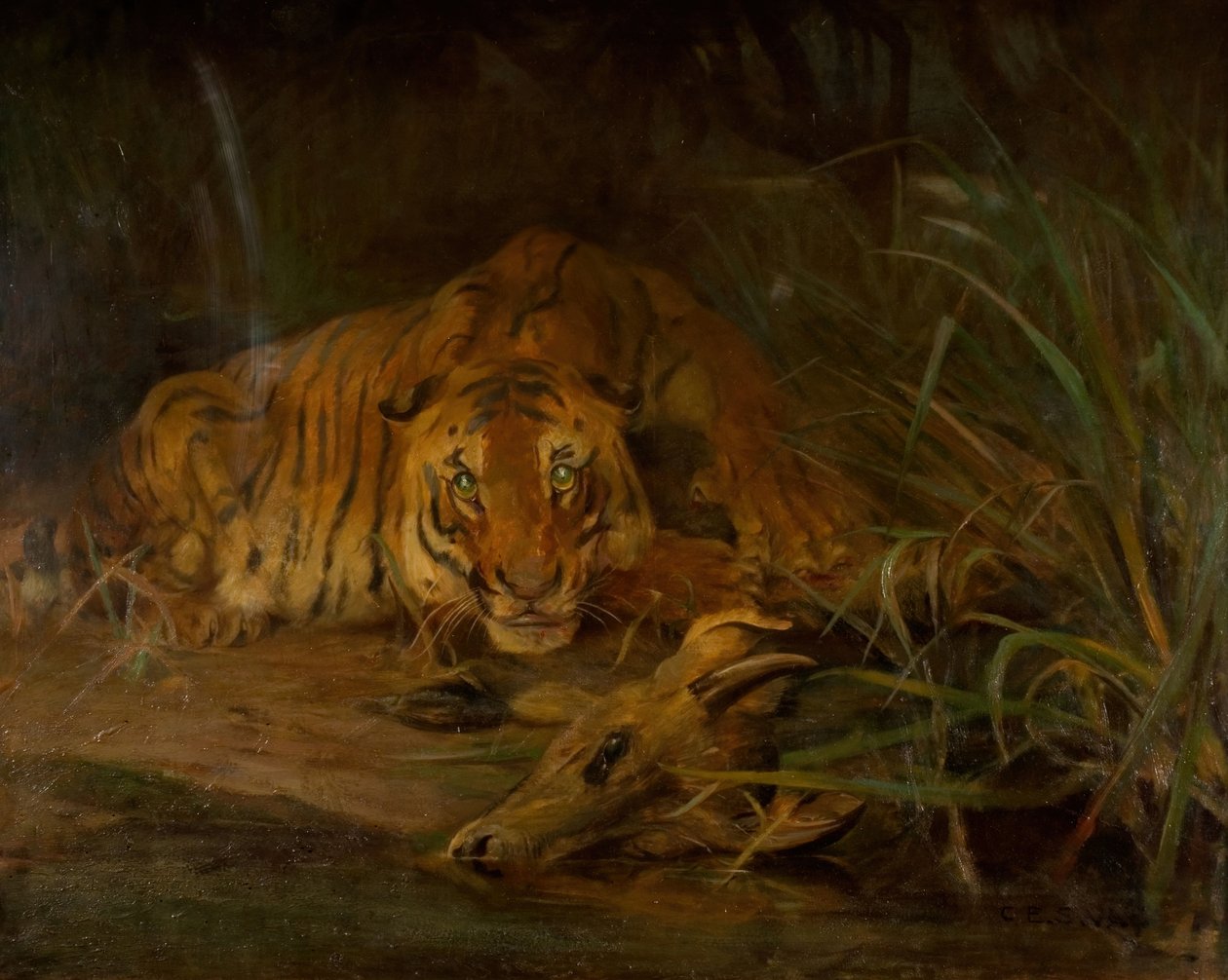 Tiikeri ja saalis, 1931. tekijältä Cuthbert Edmund Swan