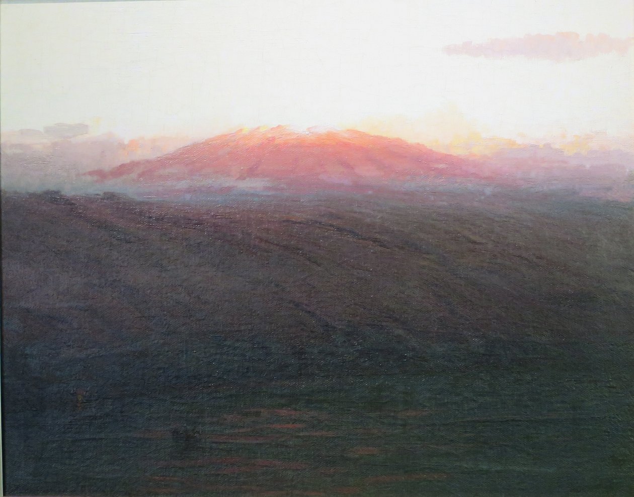 Mauna Kea tekijältä D. Howard Hitchcock