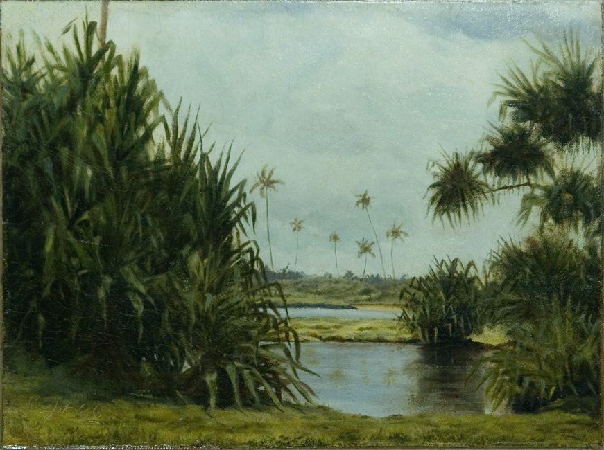 Hilo Bay tekijältä D. Howard Hitchcock
