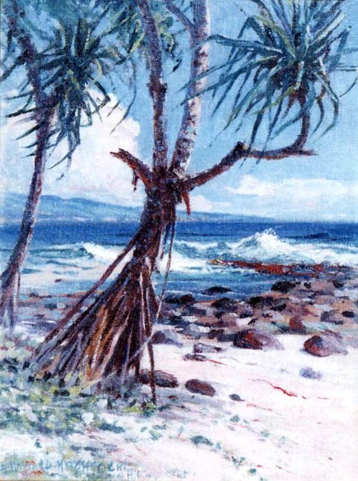 Lauhala tekijältä D. Howard Hitchcock