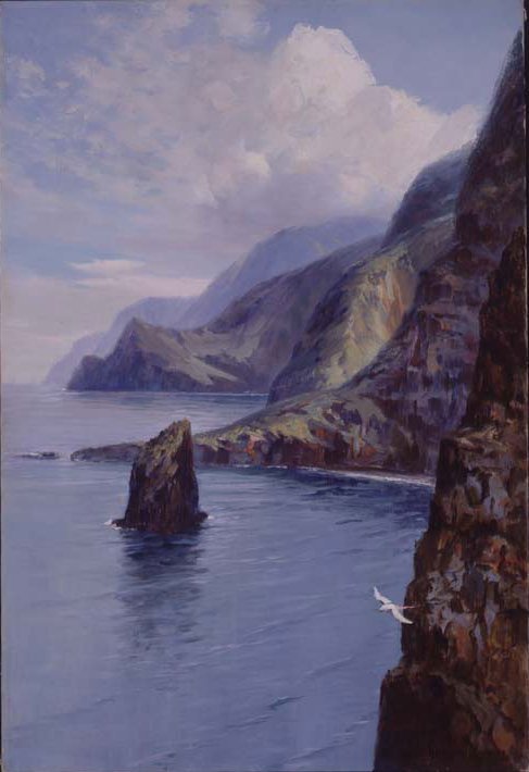 Molokai Bluffs, Havaiji tekijältä D. Howard Hitchcock