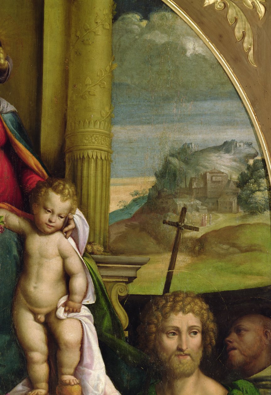 The Virgin Enthroned, yksityiskohta Kristus-lapsesta (öljy) (katso 33422) tekijältä D. and Garofalo Dossi