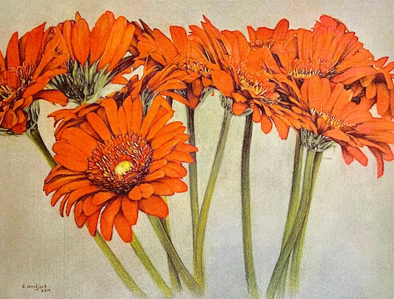 Orange Burst, 2019 (lyijykynä, akryyli paperille) tekijältä Darrell Windjack