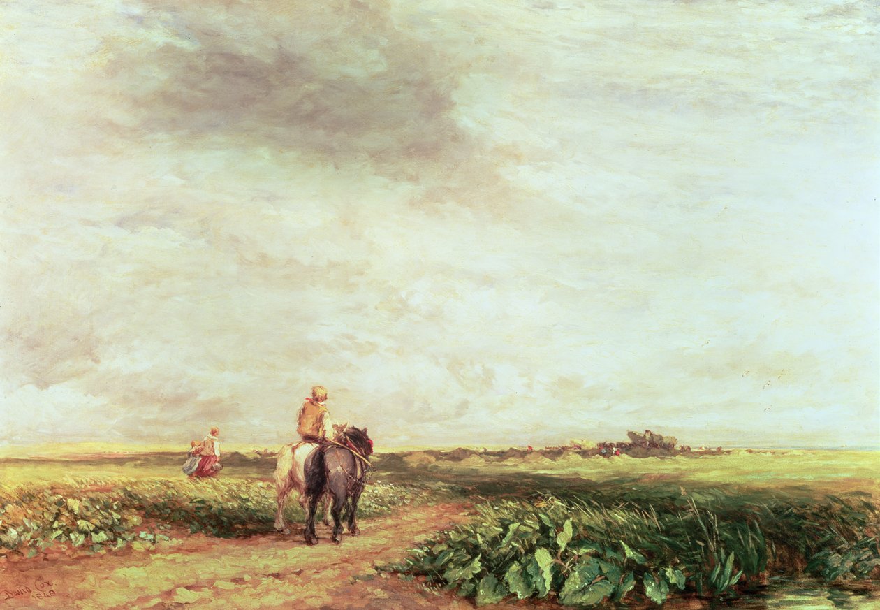 Maisema tekijältä David Cox