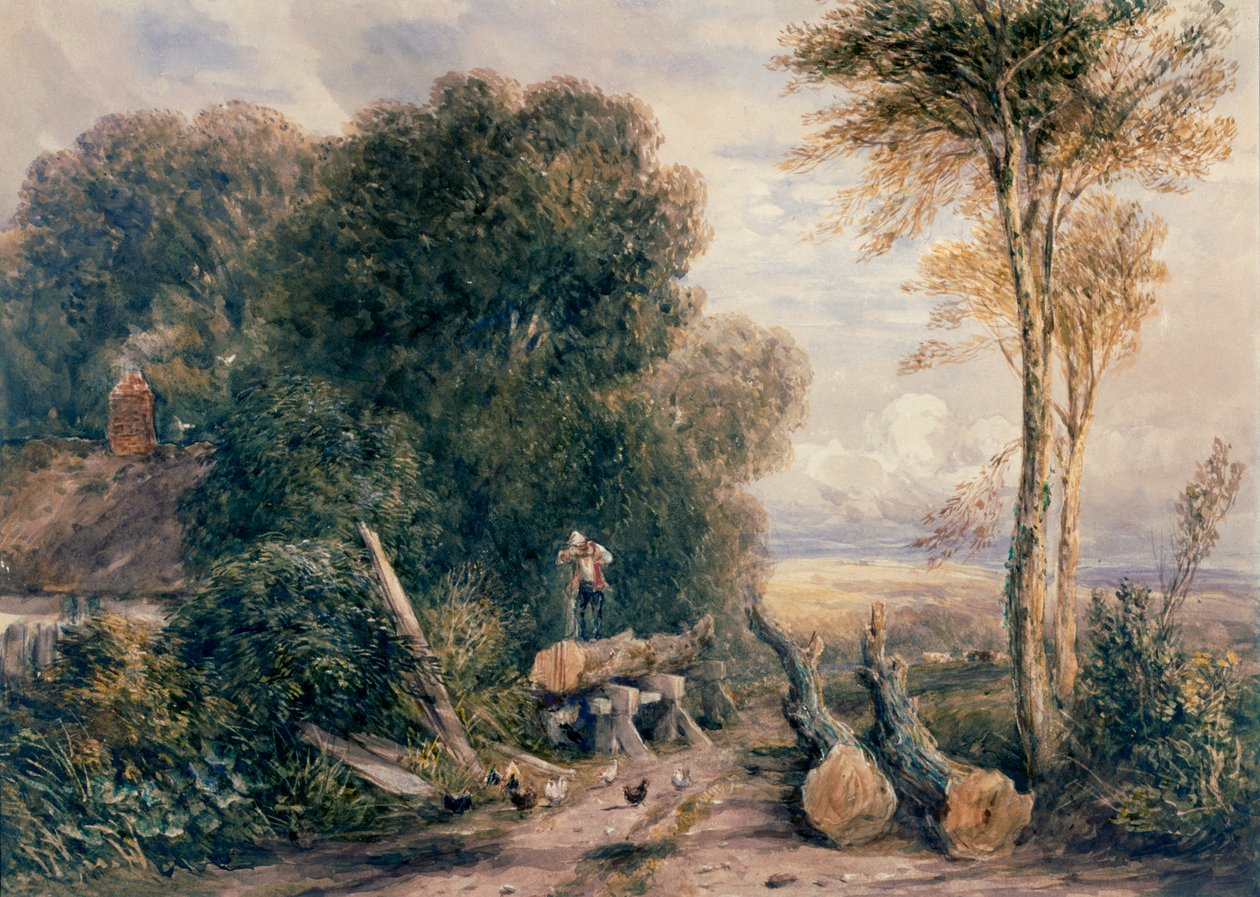 Sahakuoppa tekijältä David Cox