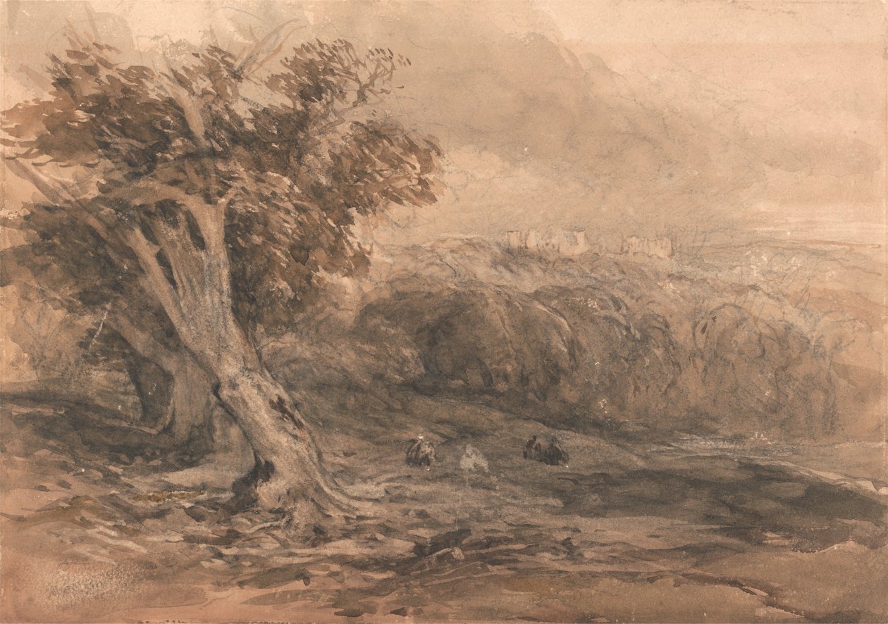 Warwickin linna tekijältä David Cox