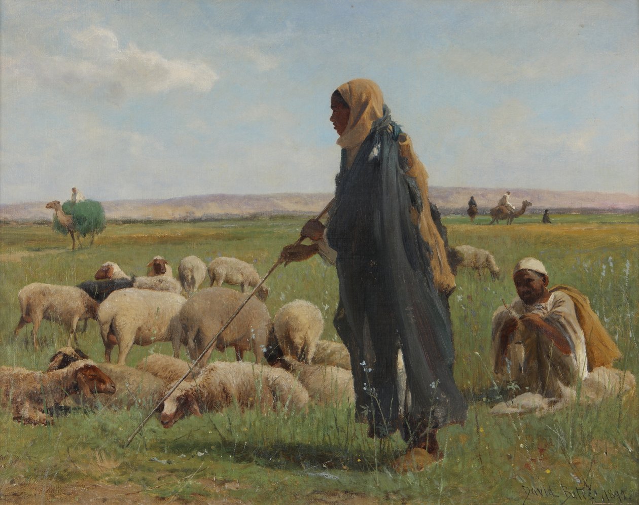 Arabianpaimenkoirat, 1892 tekijältä David Bates
