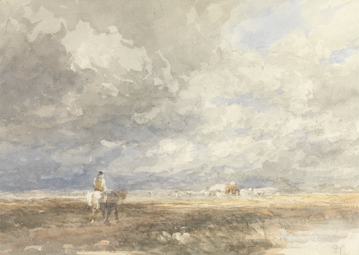Menee Hayfieldille tekijältä David Cox