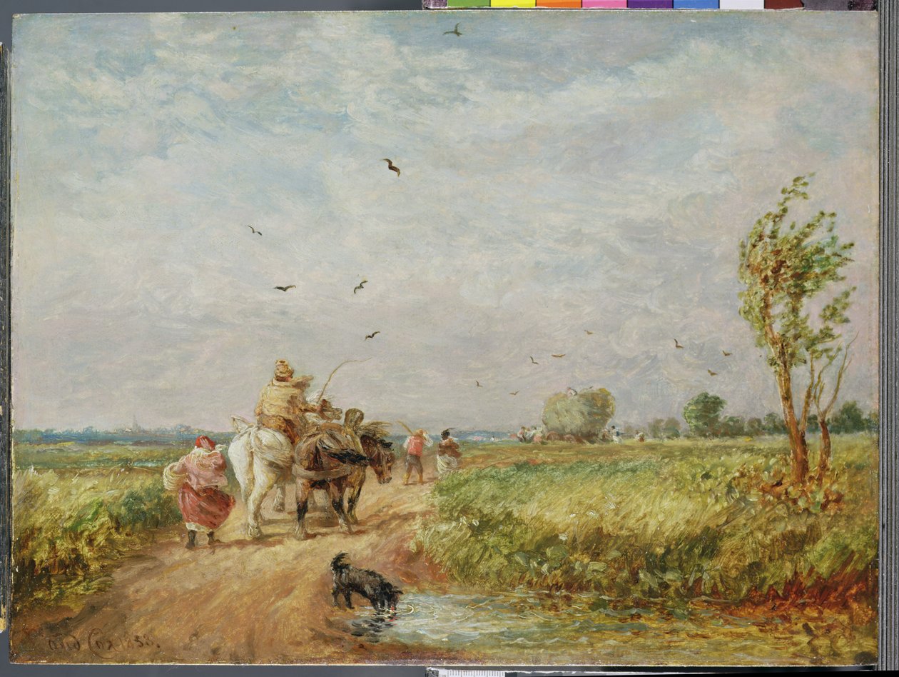 Menee Hayfieldille tekijältä David Cox