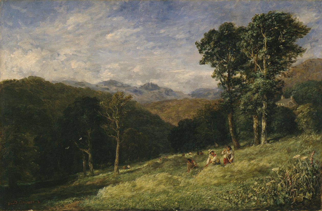Heinänteko Conwayn lähellä tekijältä David Cox