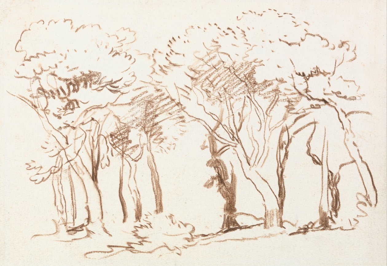 Puiden tutkimus tekijältä David Cox
