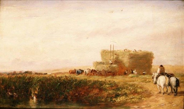 Hayfield tekijältä David Cox