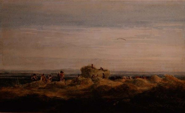 Hayfield tekijältä David Cox