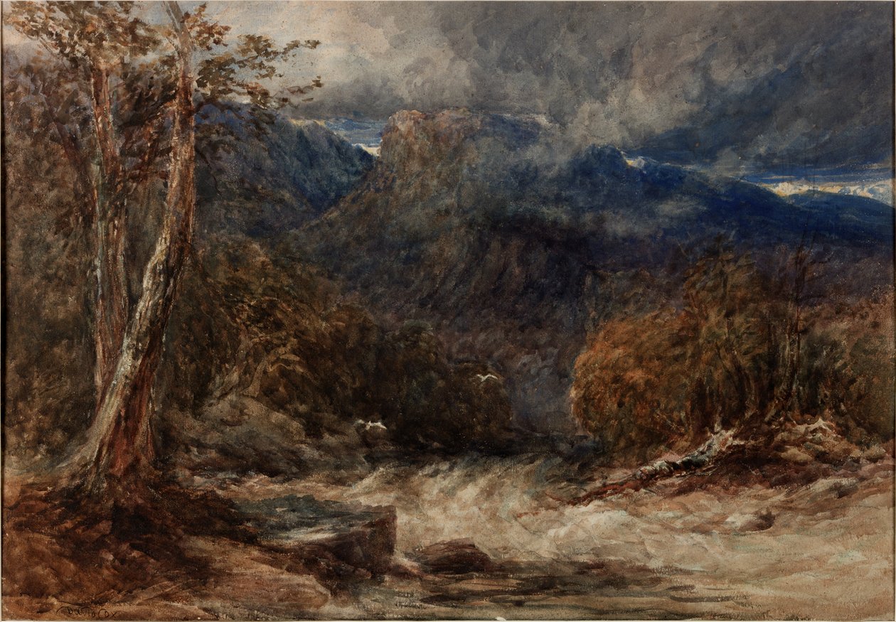 Vesien kokous tekijältä David Cox