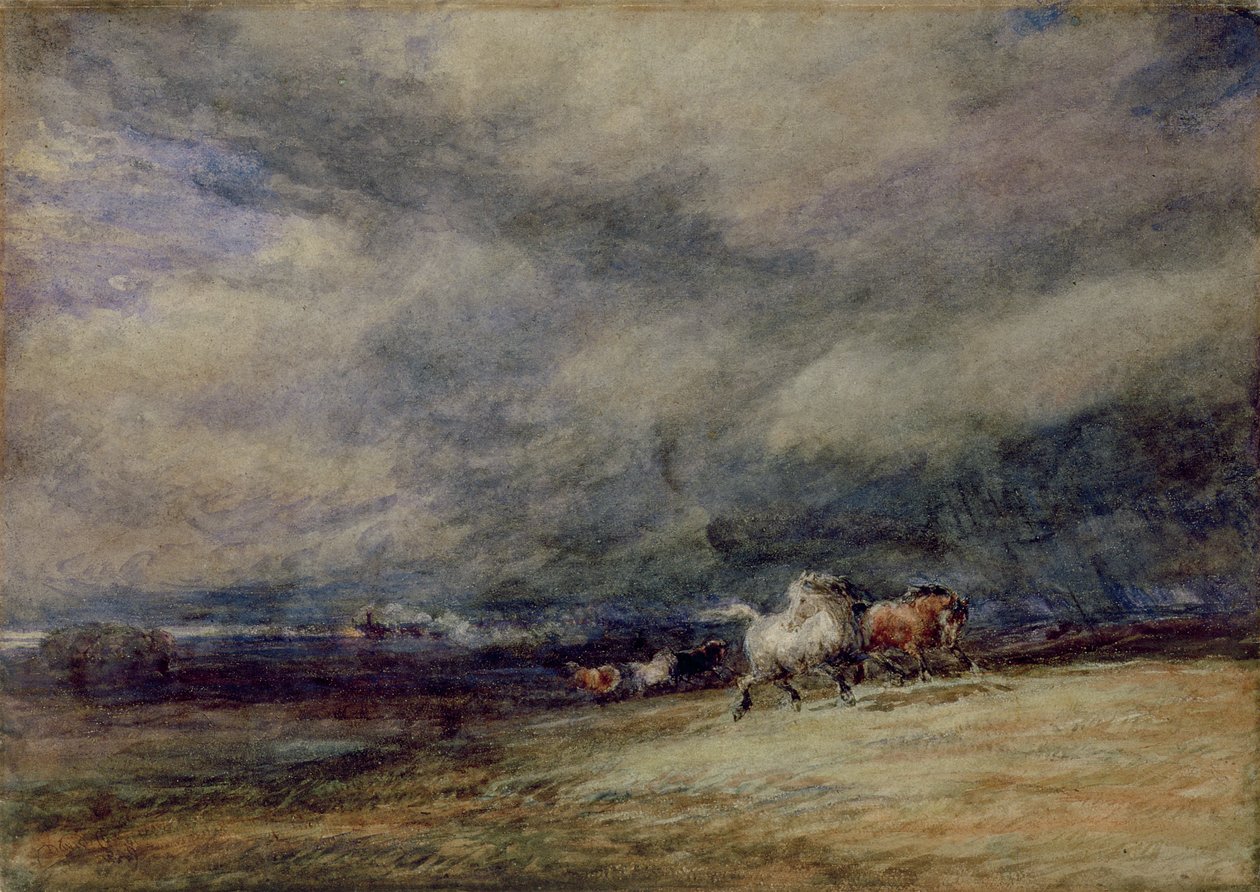 Yöjuna tekijältä David Cox