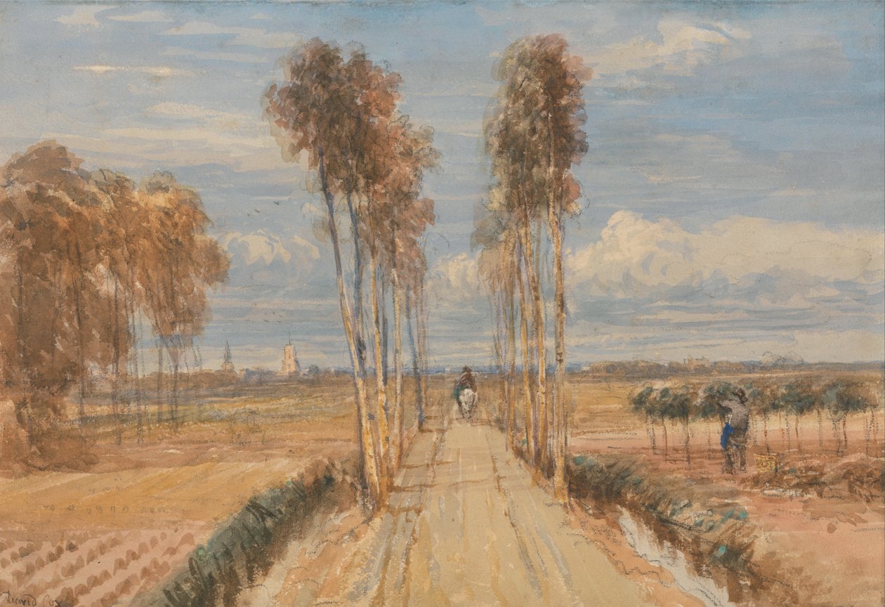 Poplar Avenue, Hobbeman mukaan tekijältä David Cox