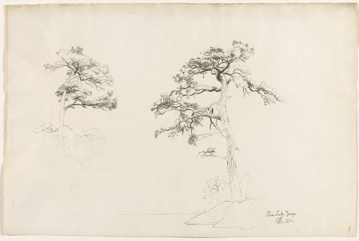 Pine, Lake George, 1871. tekijältä David Johnson