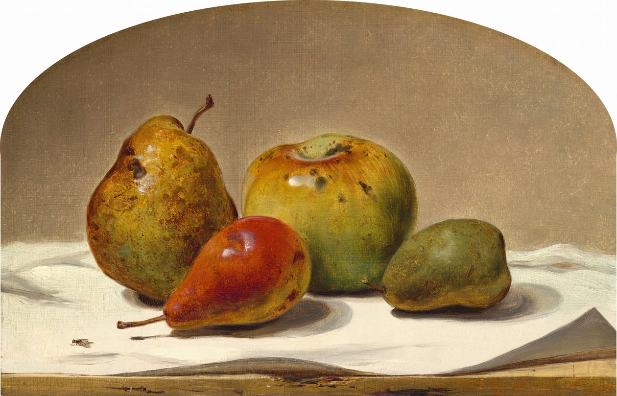 Kolme päärynää ja omena, 1857. tekijältä David Johnson