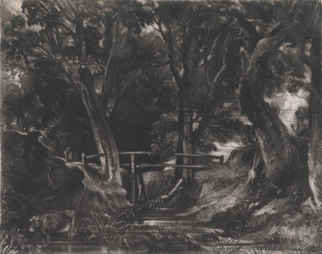 Dell, Helmingham Park, Suffolk, 1830. tekijältä David Lucas