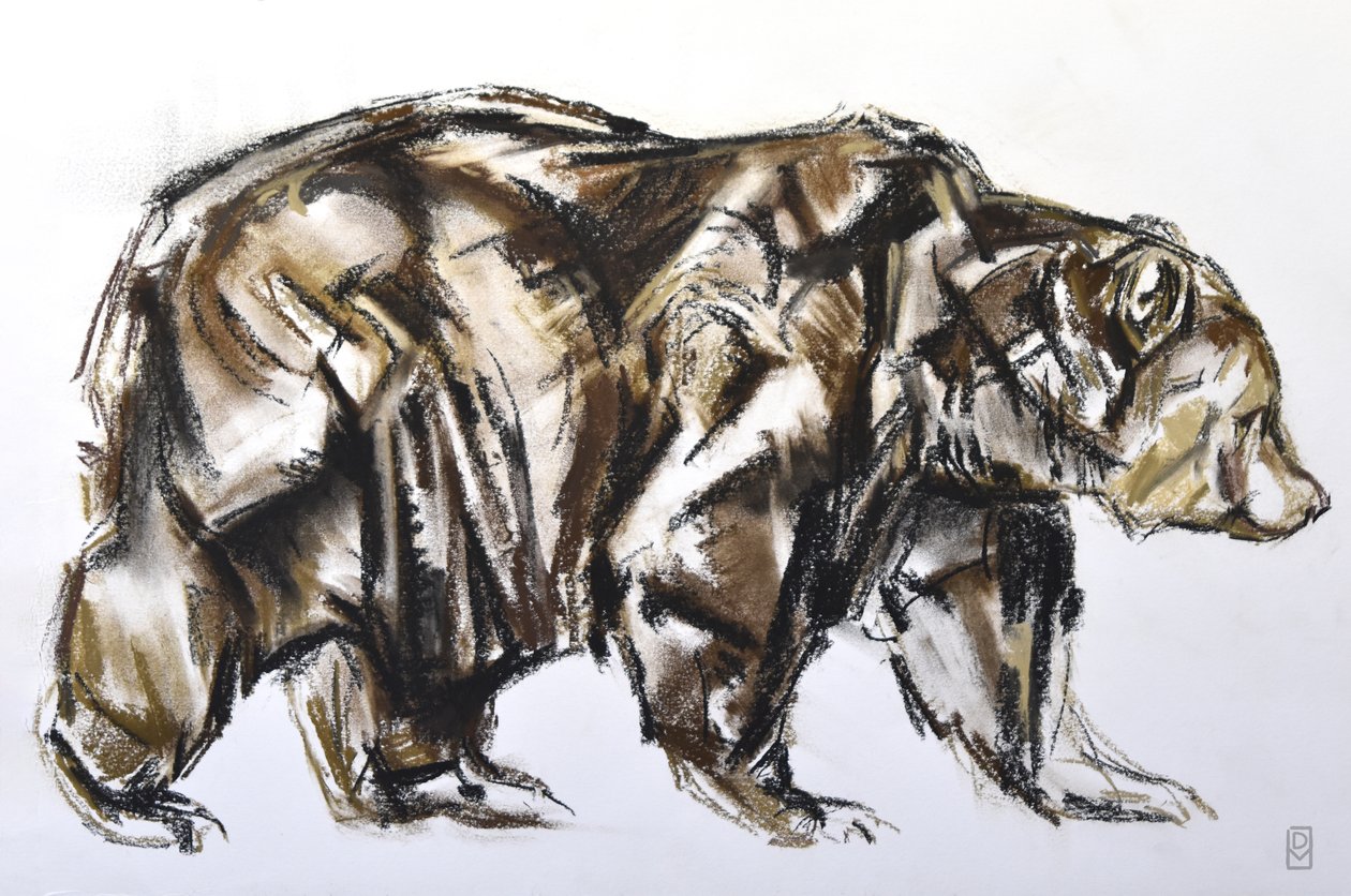 Ruskeakarhun kävely, 2012 (Pastel/Conte paperilla) tekijältä David Mayer