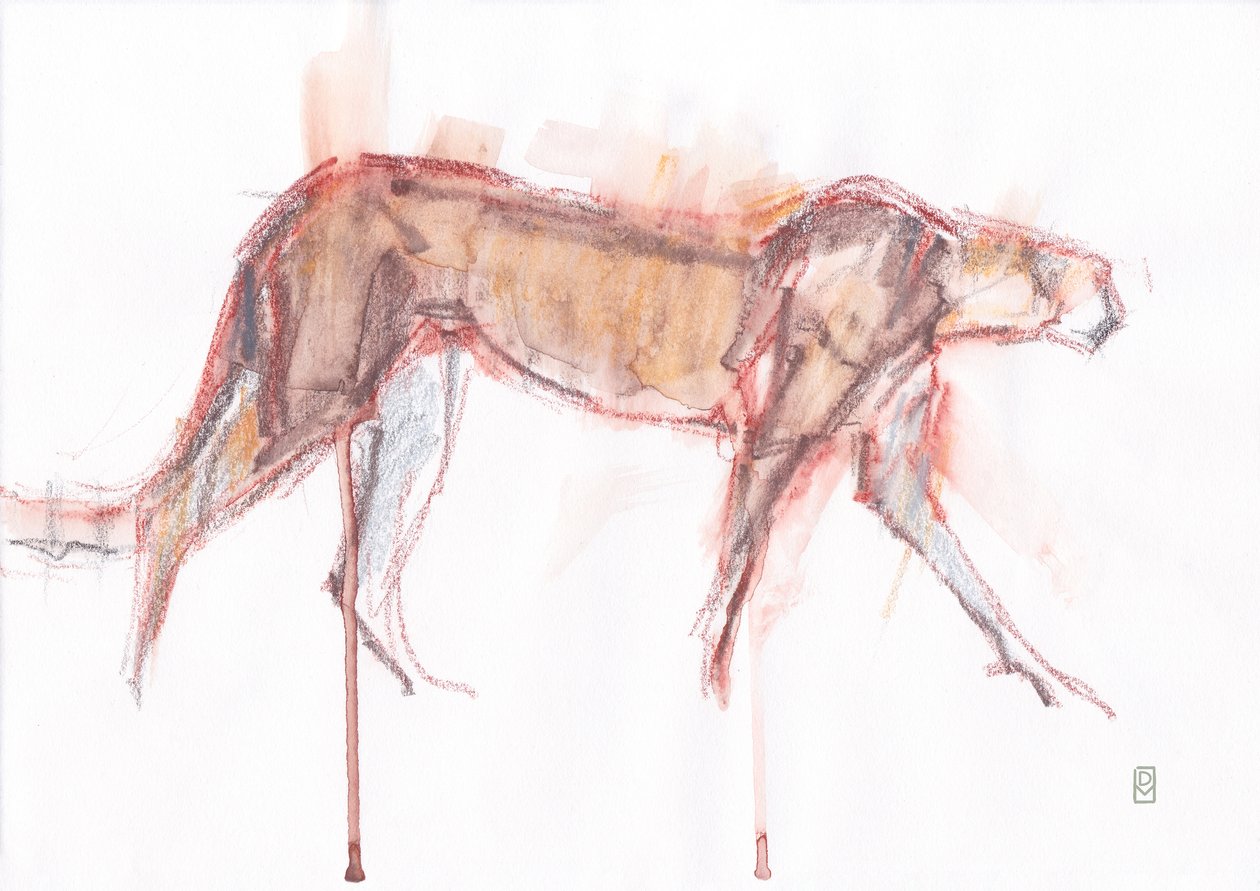 Gepardin metsästys, 2019 (liitu/akvarelli paperille) tekijältä David Mayer