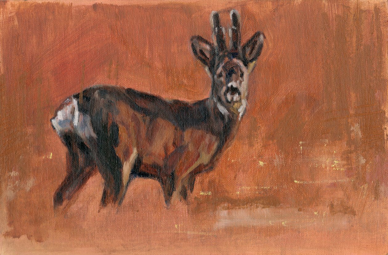 Roe Buck, 2021 tekijältä David Mayer