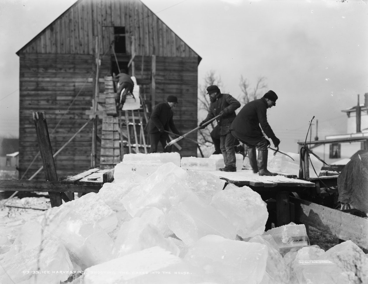 Jäänkorjuu, kakkujen ampuminen taloon, n.1903 tekijältä Detroit Publishing Co.