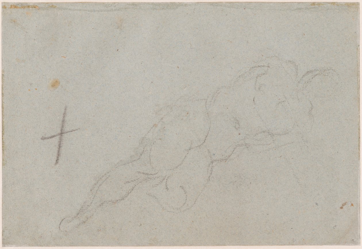 Nainen alaston [versio] tekijältä Domenico Tintoretto