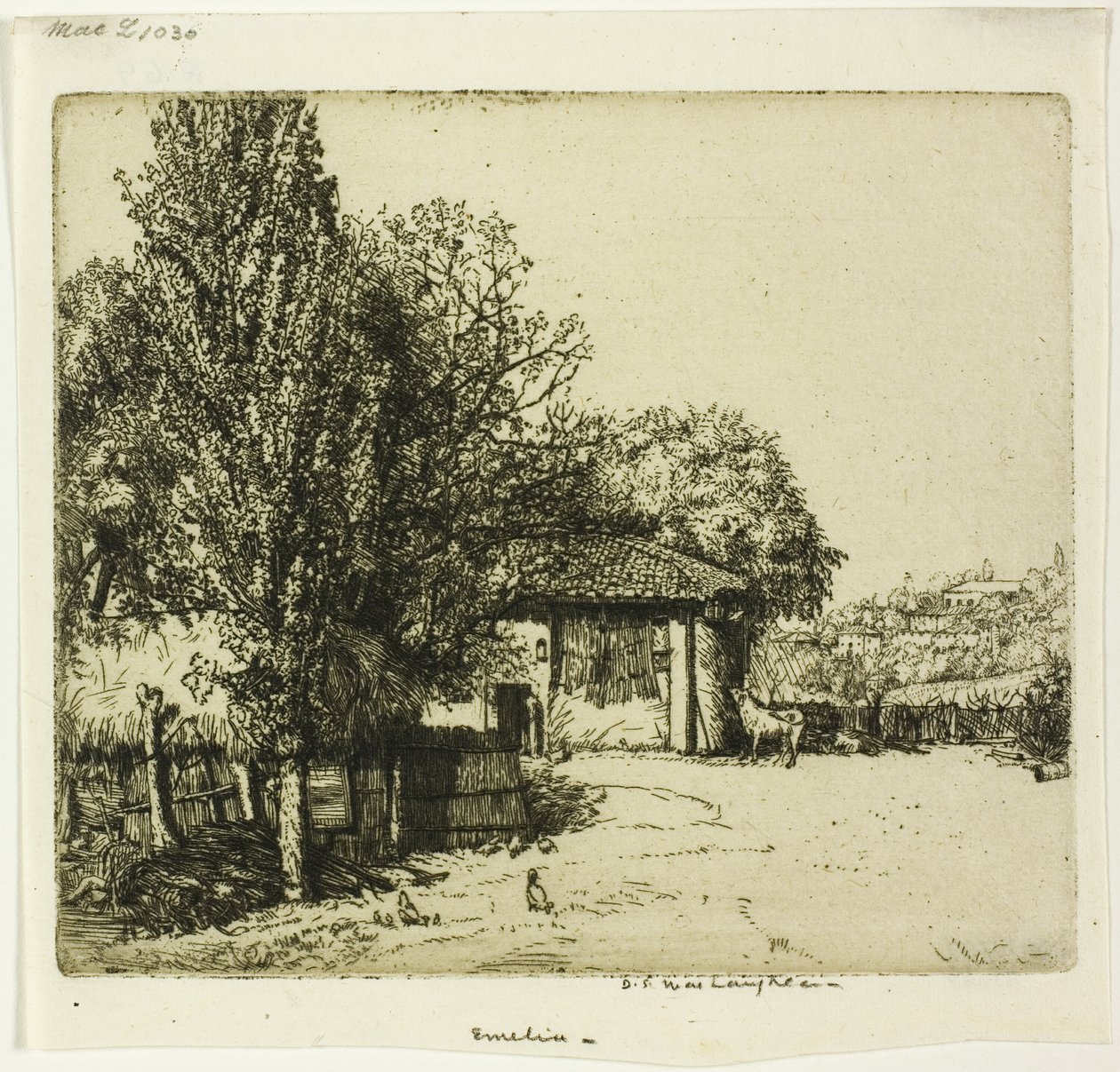 Emelia, Italia tekijältä Donald Shaw MacLaughlan