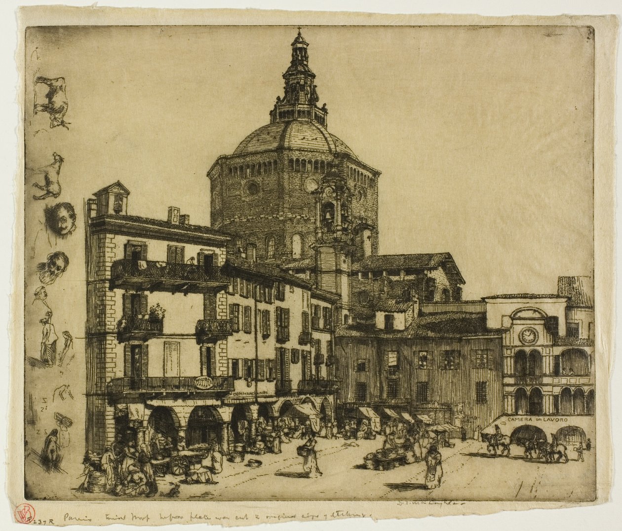 Pavia tekijältä Donald Shaw MacLaughlan