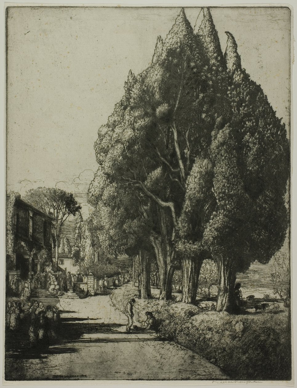 Cypress Grove tekijältä Donald Shaw MacLaughlan