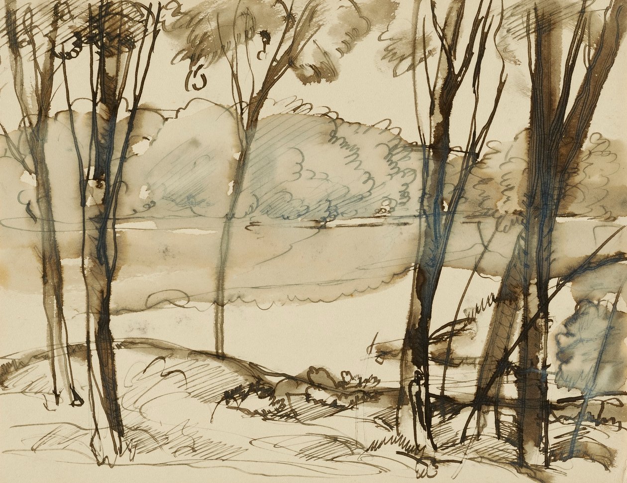 Järvi tekijältä Donald Shaw MacLaughlan