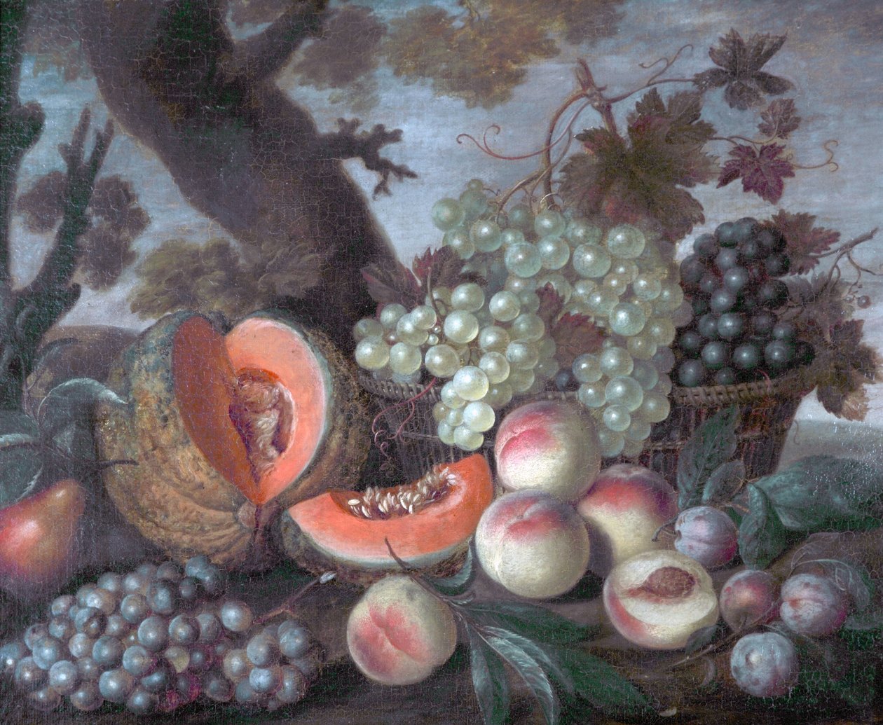 Melonit ja viinirypäleet tekijältä Dutch School