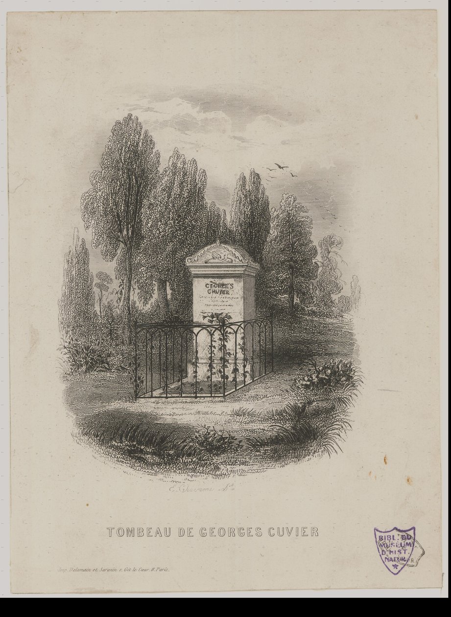 Tombeau de Georges Cuvier tekijältä E. Chavanne