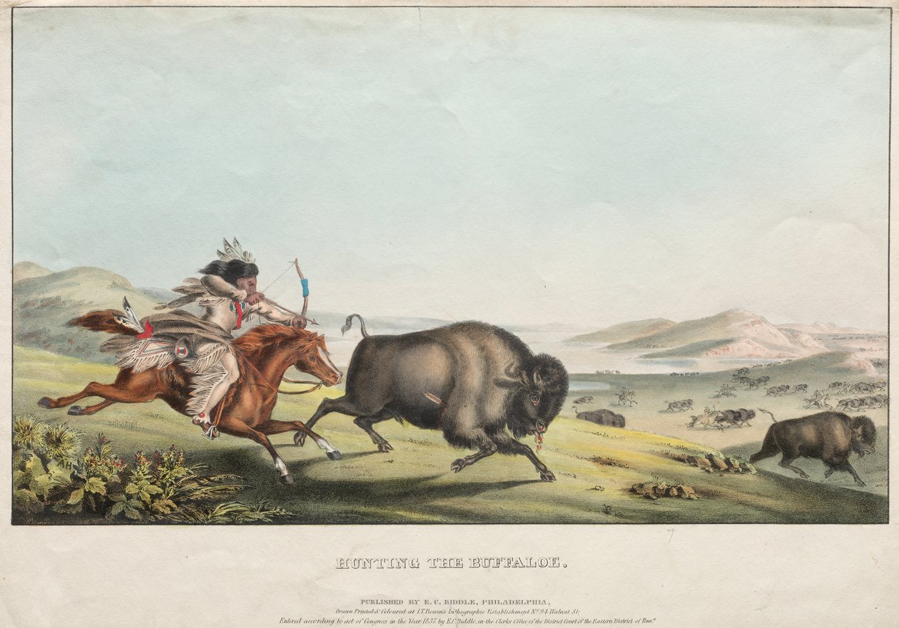 Buffalon metsästys tekijältä E. C. Biddle
