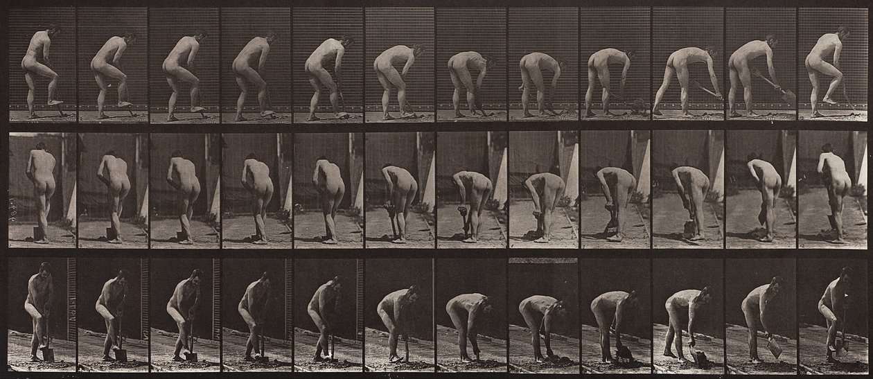 Eläinten liikkuminen, levy 388 tekijältä Eadweard Muybridge