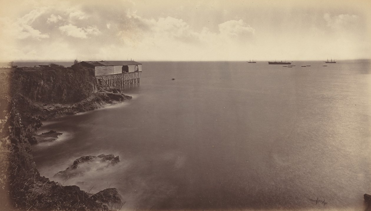 Acajutla, 1877. tekijältä Eadweard Muybridge