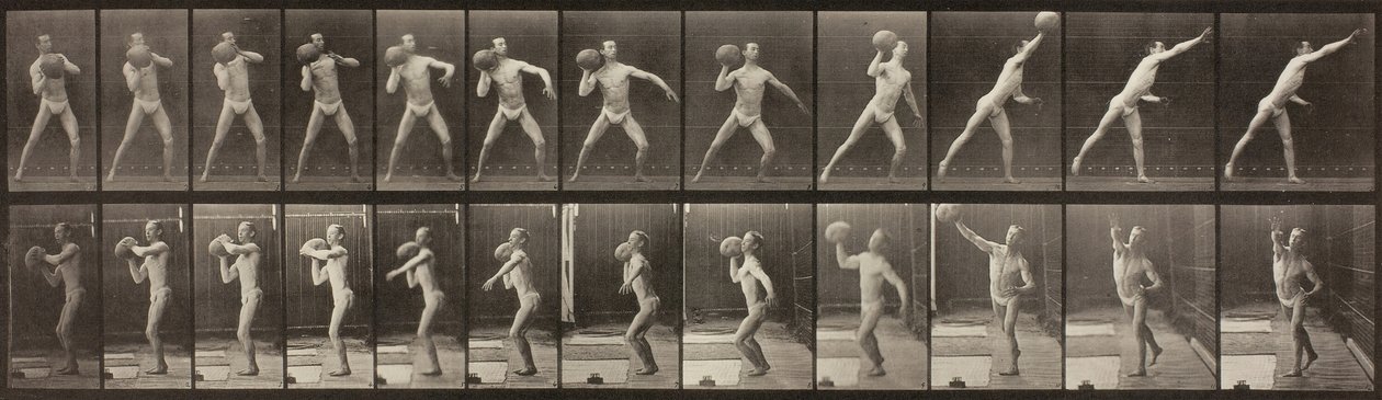 Animal Locomotion, levy 319, 1887. tekijältä Eadweard Muybridge