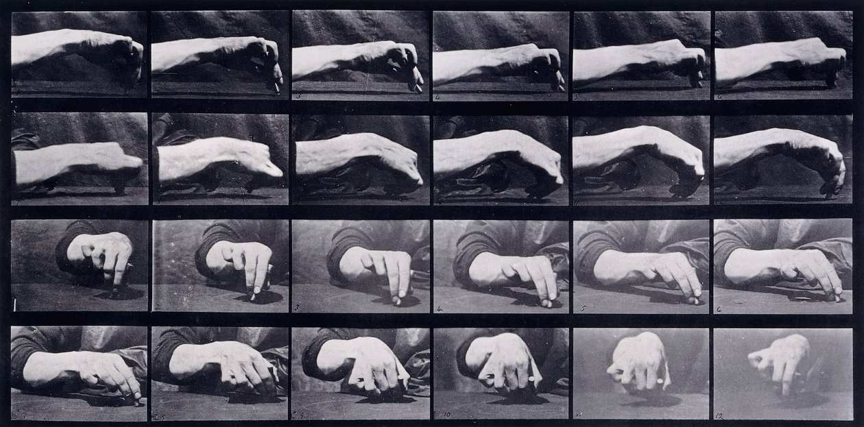 A Motion Study of a Hand, n. 1872-1885 tekijältä Eadweard Muybridge