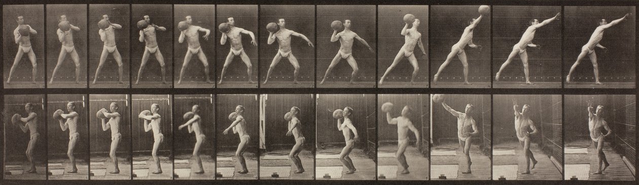Animal Locomotion, levy 319, 1887 tekijältä Eadweard Muybridge