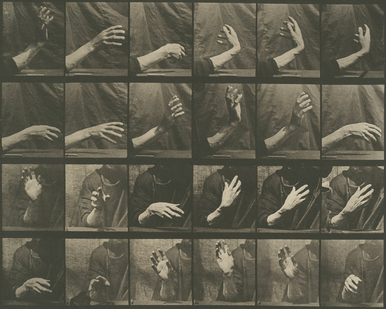Eläinten liikkuminen, levy 535 tekijältä Eadweard Muybridge