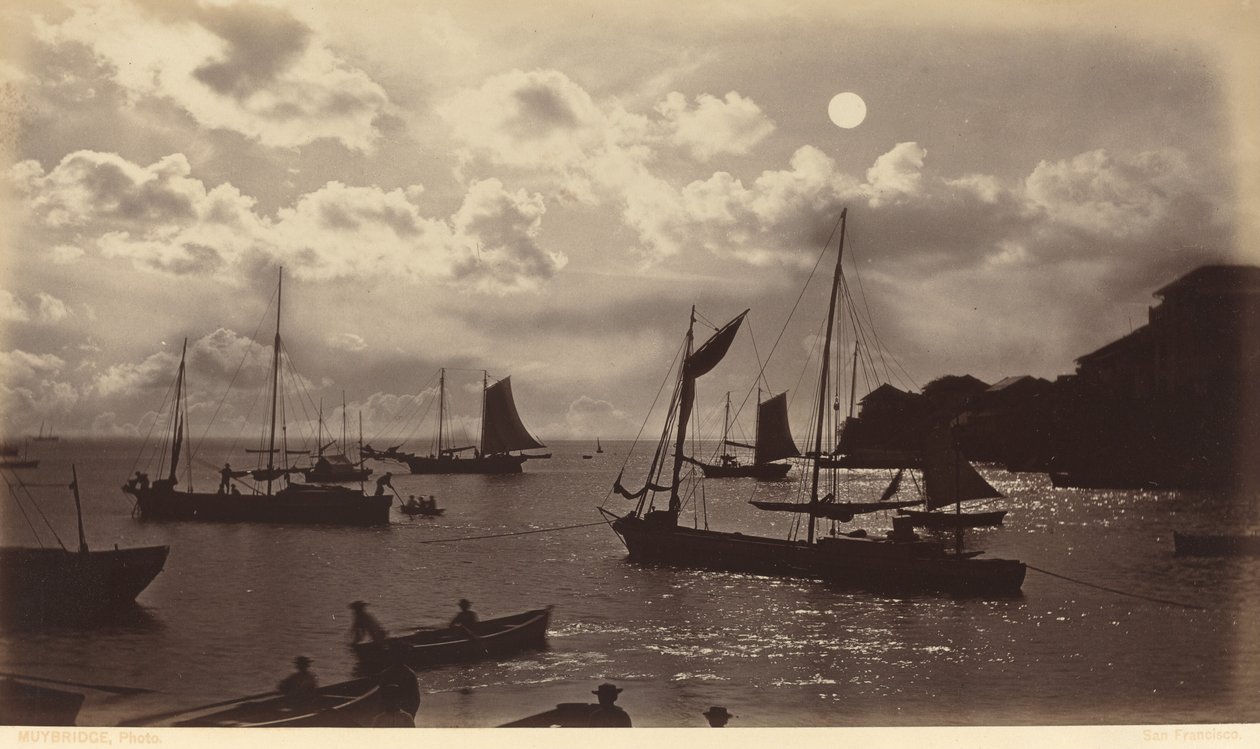 Moonlight Effect - Panaman lahti tekijältä Eadweard Muybridge