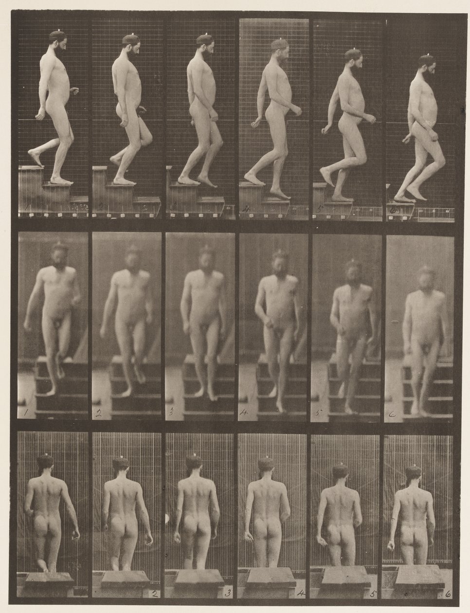 Levy 127. Laskevat portaat, 1872-1885 tekijältä Eadweard Muybridge