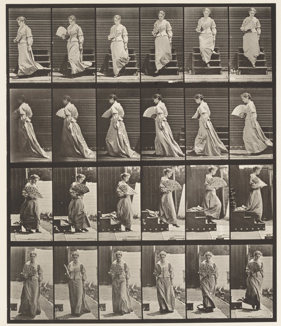 Levy 141. Laskevat portaat ja flirttailutuuletin tekijältä Eadweard Muybridge