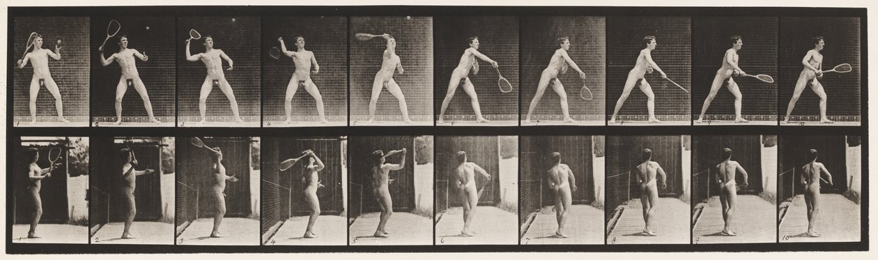 Lauta 294. Nurmikon tennis; Tarjoilu tekijältä Eadweard Muybridge