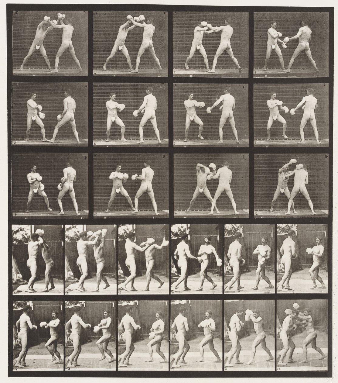 Levy 334. Nyrkkeily; Käsineillä (kengät) tekijältä Eadweard Muybridge