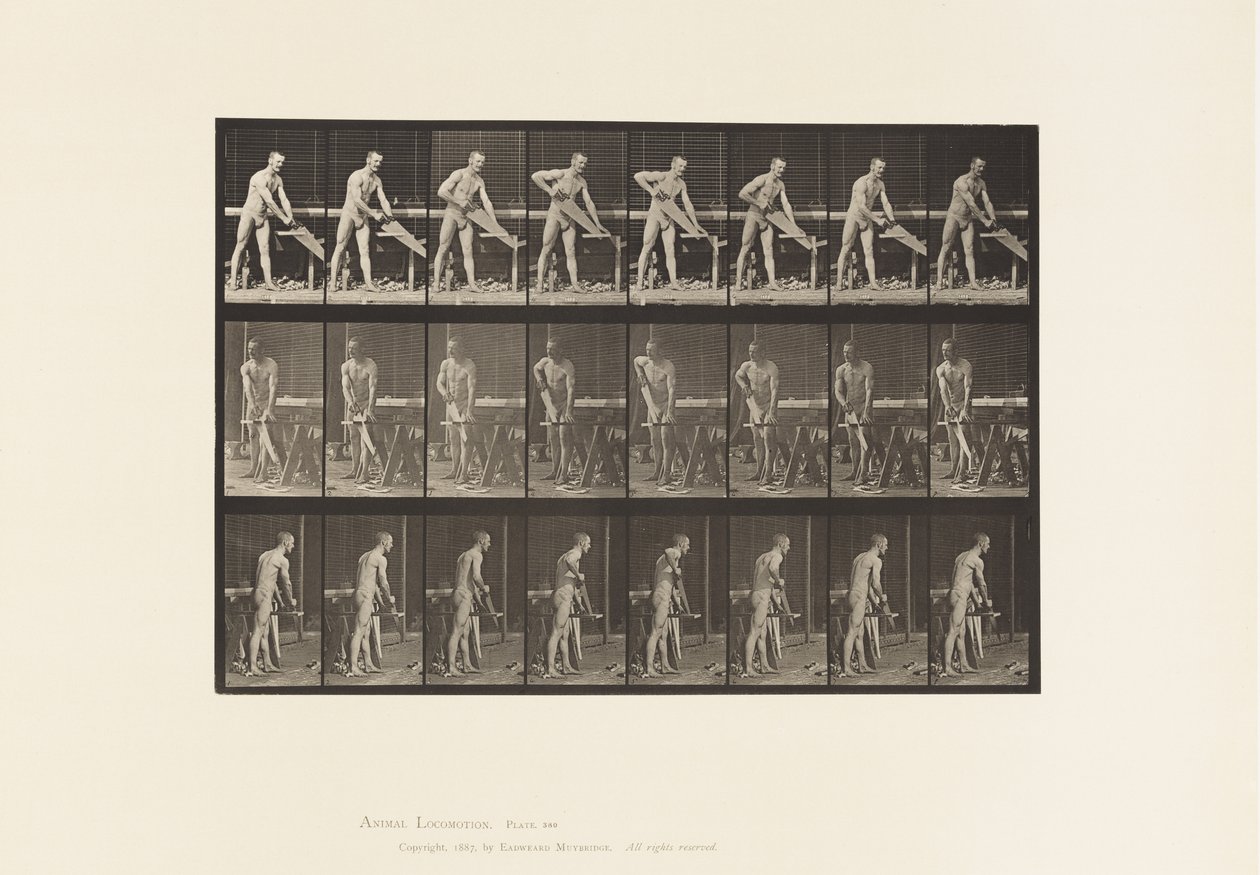 Levy 380. Puuseppä, sahaus, 1872-1885 tekijältä Eadweard Muybridge