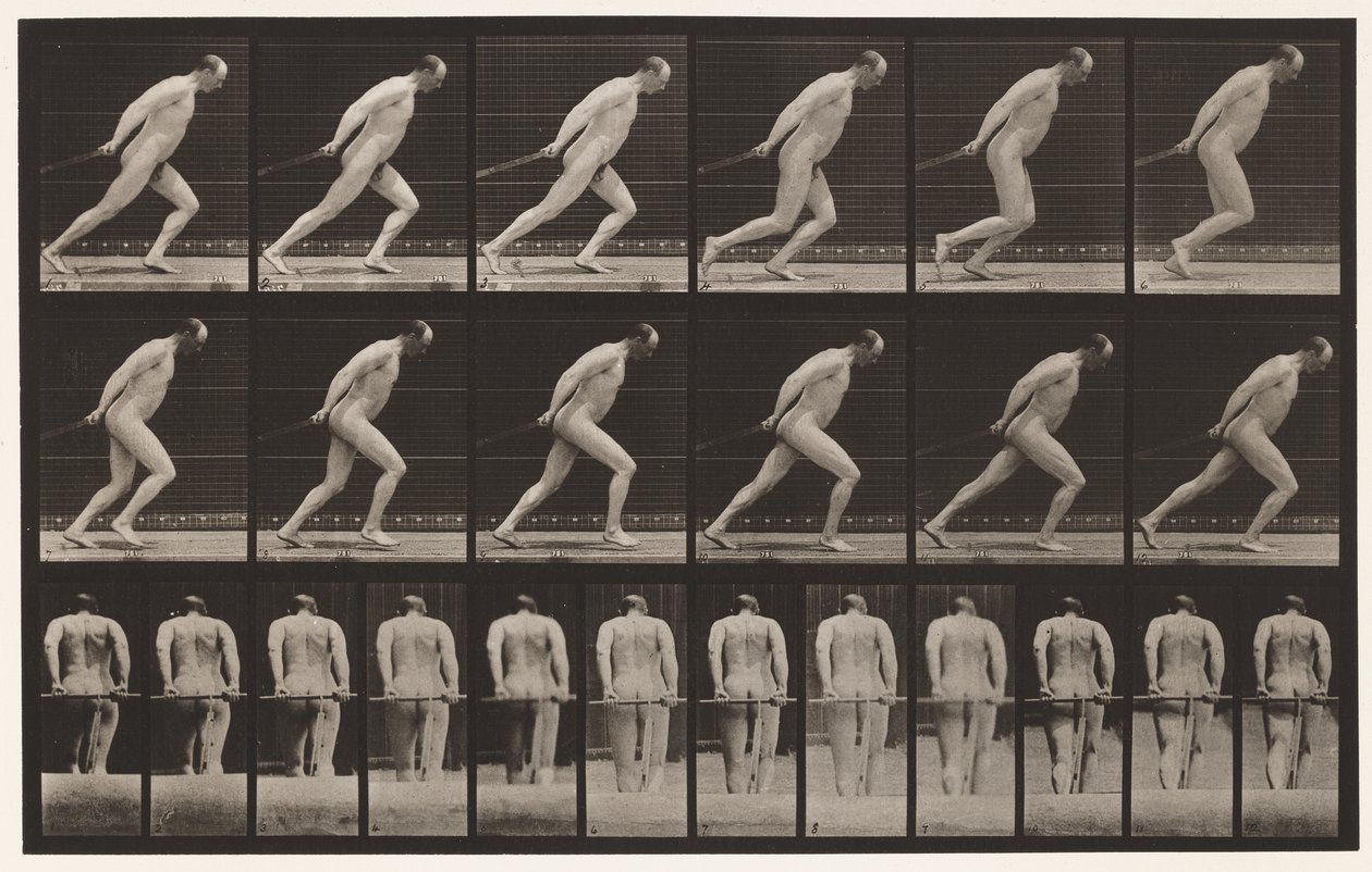 Levy 392. Puutarharullan vetäminen, 1872-1885 tekijältä Eadweard Muybridge