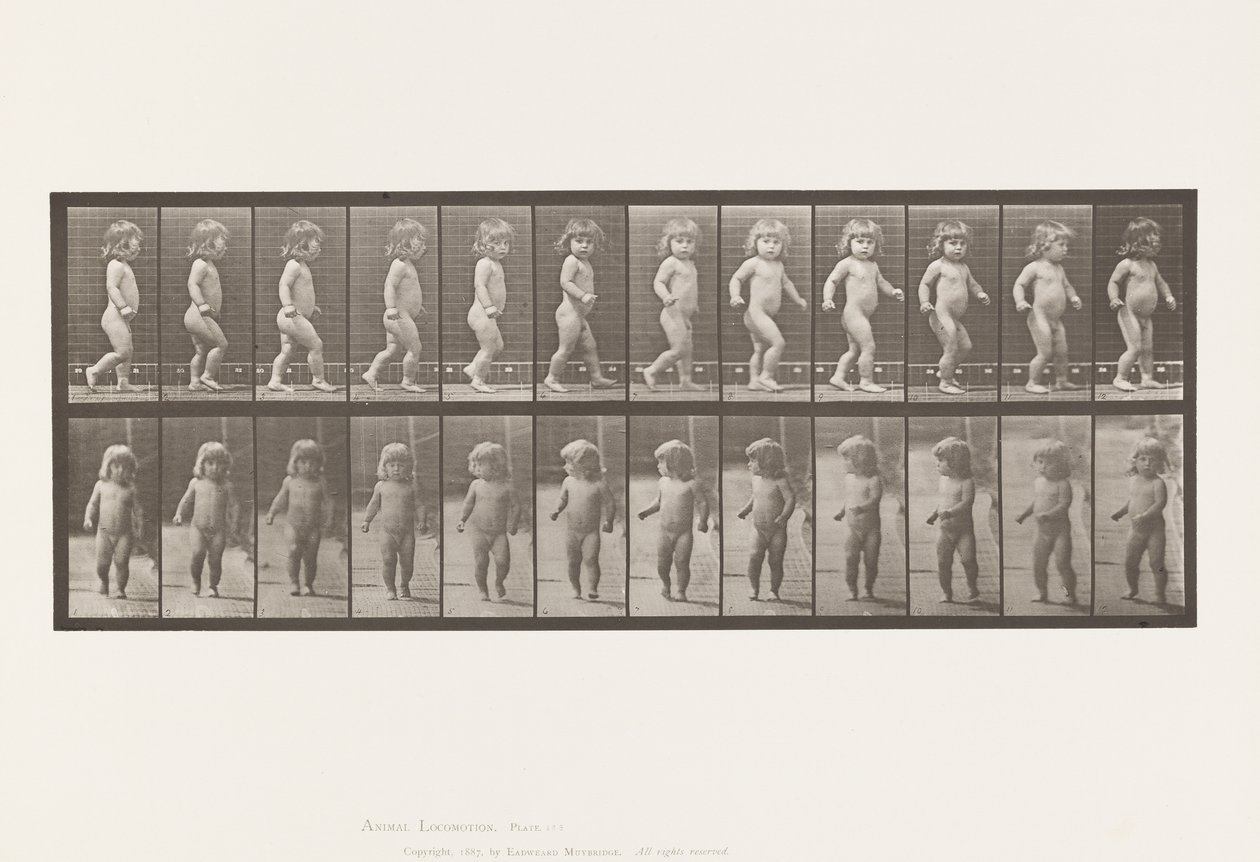 Levy 468. Lapsi, kävely tekijältä Eadweard Muybridge