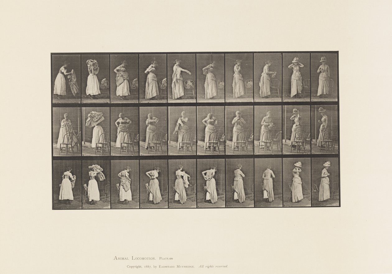 Levy 495. WC:n sekalaiset vaiheet tekijältä Eadweard Muybridge